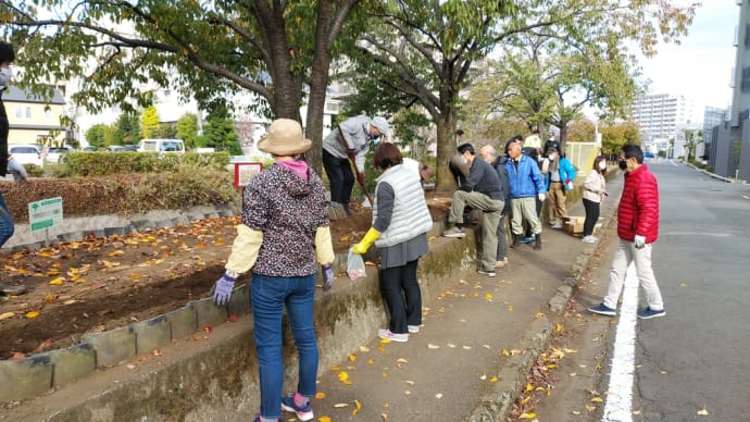 球根の植え付け作業