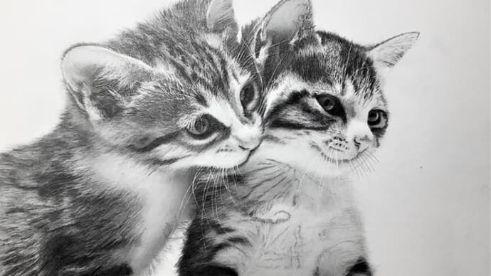 「仔猫の兄弟」　鉛筆画　A4