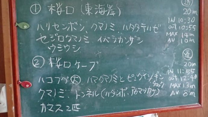 20221104ダイビングログ