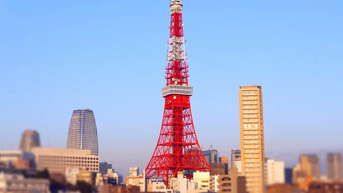 アンテナを立てて世界を見つめ直す|とりあえず動いてみよう