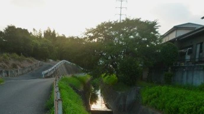 早朝散歩の風景