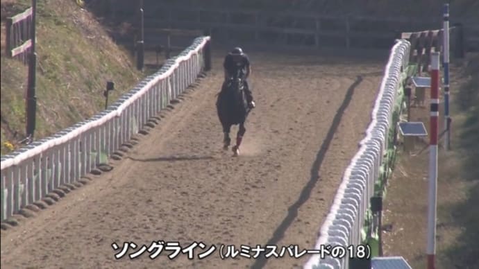 ソングライン、ヴィクトリアマイルに登録!