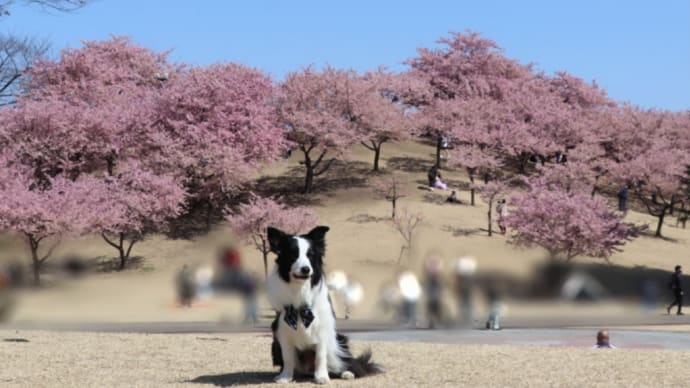 花のある狛犬さん
