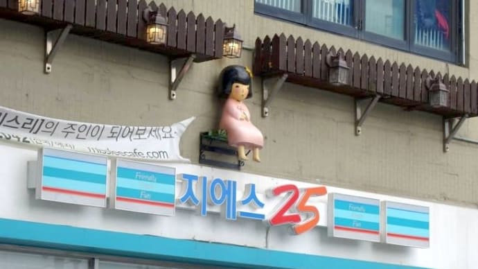 雨の仁寺洞 通り(인사동 2019年 )