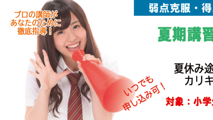 夏期講習も個別指導