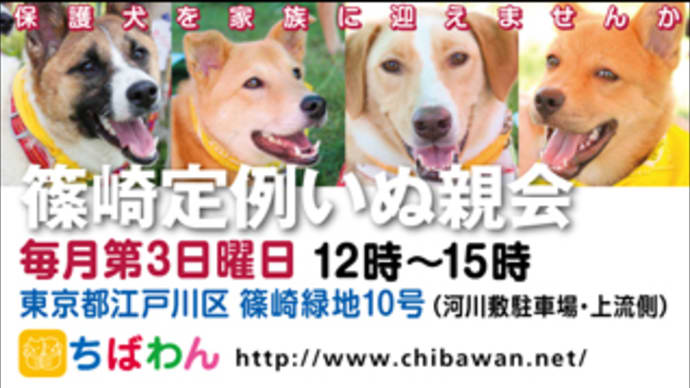 熊本地震 犬猫の避難・保護・支援情報
