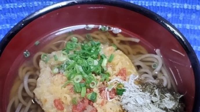【11/27昼食】天ぷら蕎麦、今回は豆腐なしでね：P