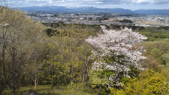 国見山