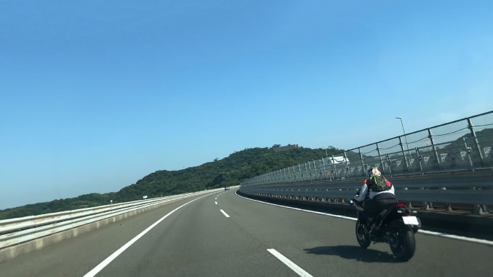 うなぎ釣り 🎣