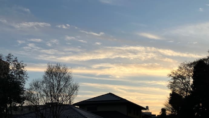 2023年もあと1日ですが…✨