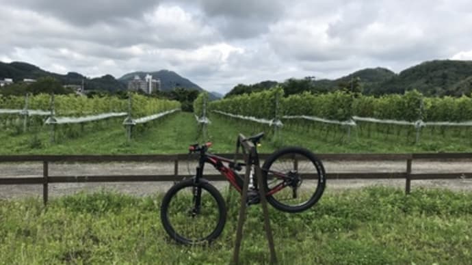 秋保ワイナリートレイルライド終了です。