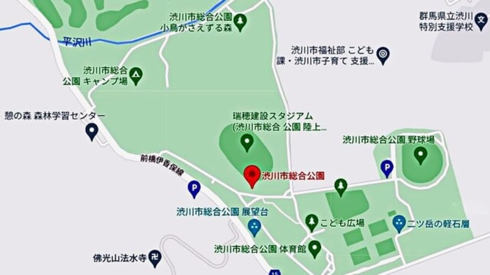 「渋川市総合公園」の あじさい