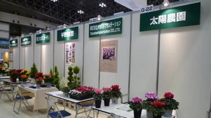 市場出荷スタートです♪(^u^)♪