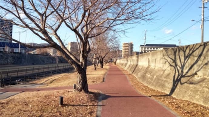 穏やかな年始