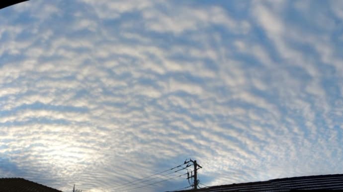 縞模様の雲　【東京都調布市】　2019.12.24