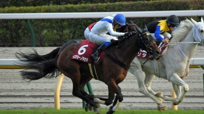 22府中牝馬Sの写真