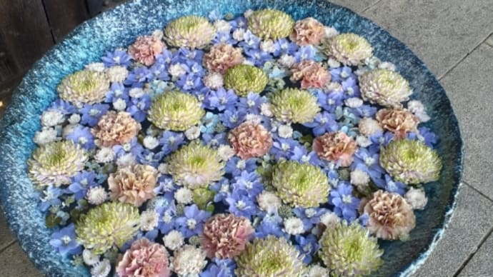 水無月 花手水 希望の光