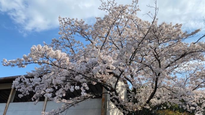 4月です(3月はどうした)