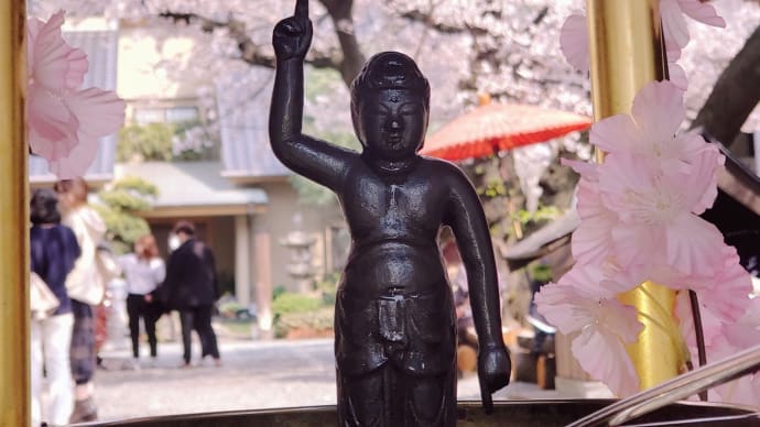 メリー花まつり