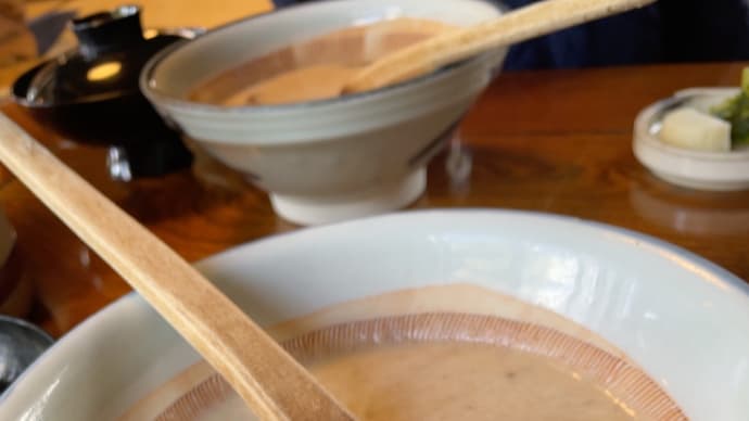 締めは丁子屋のとろろ汁〜静岡旅行⑪終