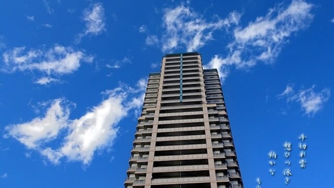 千切れ雲 想ひつ泳ぎ納かな