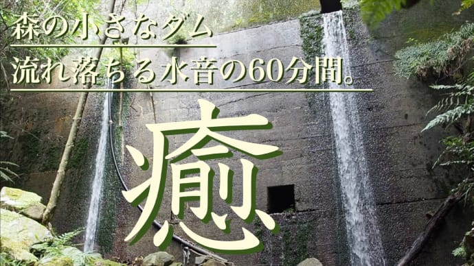 森の小さなダム、流れ落ちる水音の60分間。