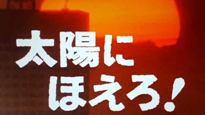 『太陽にほえろ!』1977~1978