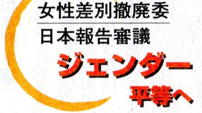 女性差別撤廃委 日本報告審議 ジェンダー平等へ① 貧困・暴力 実態届ける
