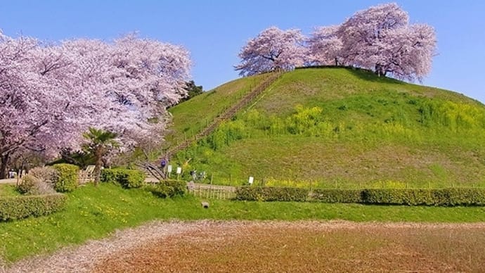 特別史跡 さきたま古墳群~いかにして守られてきたか~