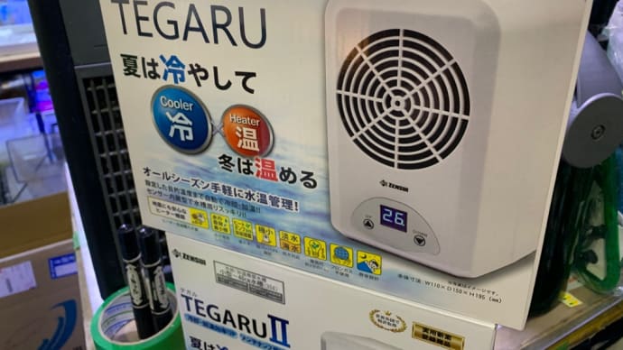 中古 ゼンスイ TEGARU