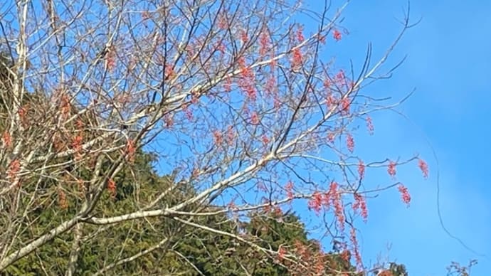 山小屋の景色も今年最後です❗️