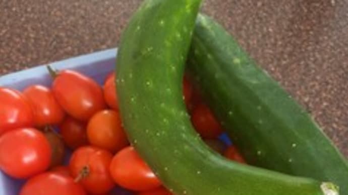 血糖コントロールの3点セット