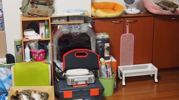 こっちもゴチャゴチャ