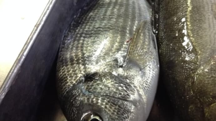狙った獲物は逃がさない