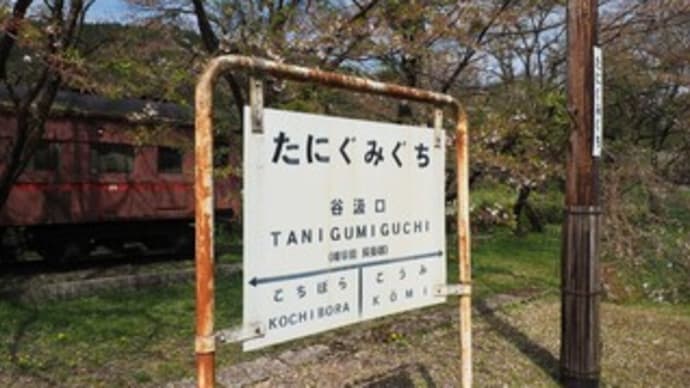 散っているのはわかっているが