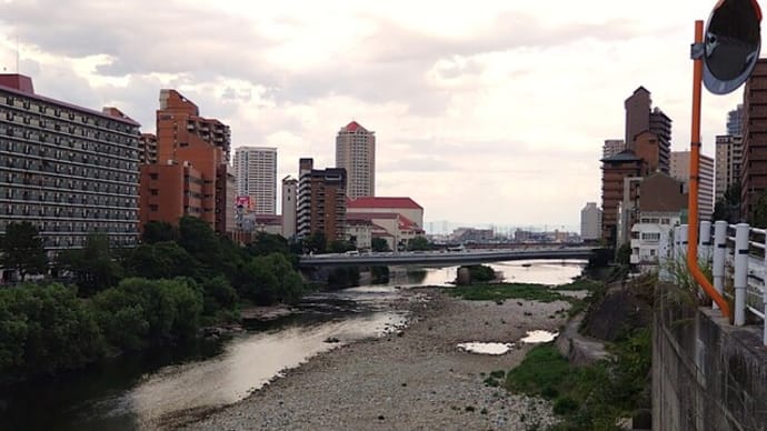 今日の「武庫川」です