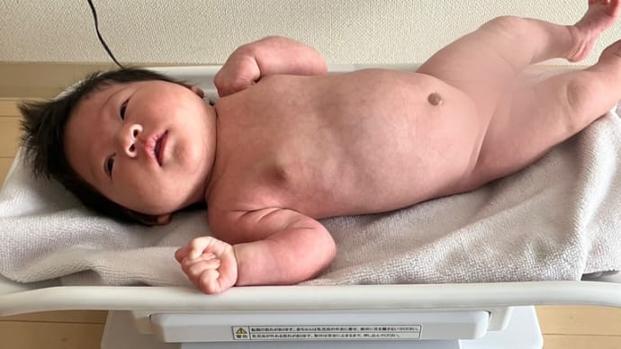 順調に増えてるって➰😳