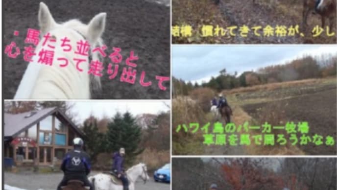 富士山麓鳴沢村で乗馬体験 🐎 根場の蕎麦 ・ホーストレッキング&プチツーリング ^^!