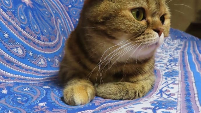 キャッチ＆リリースして遊ぼうよ(*'▽')