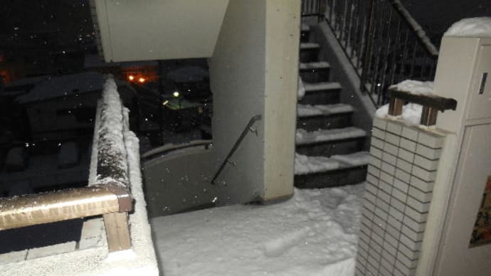 雪は1度でいい~
