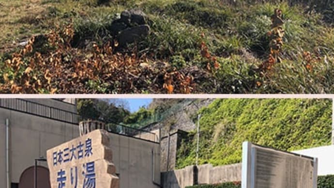 熱海・土石流災害の救助活動を遅らせた「別荘税」・・・・?