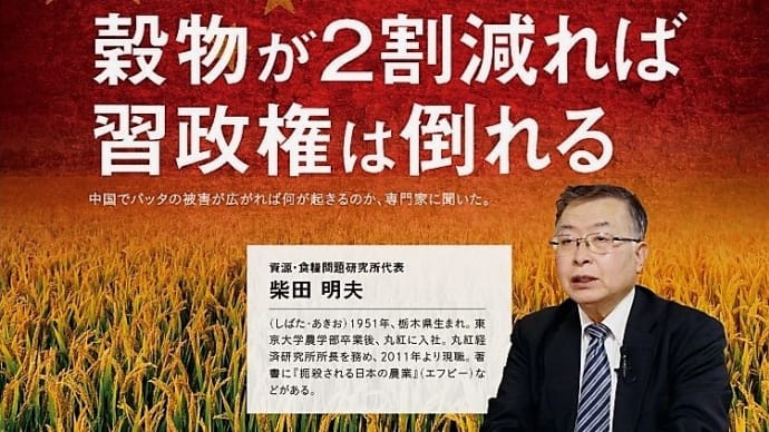 武漢熱・銀行預金ゼロの5億6千万中国人は死ぬの?