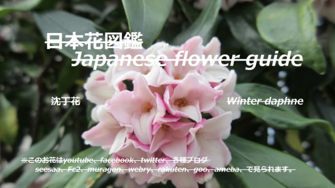 香る風?!Fragrant wind? !!