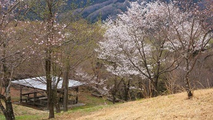 中間平緑地公園にて