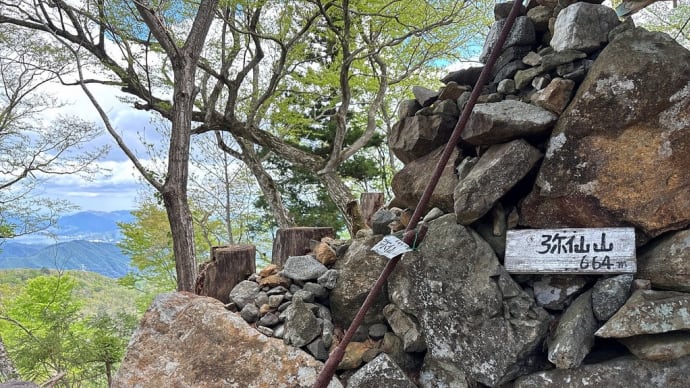 綾部市の弥仙山