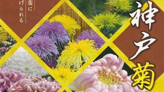 第70回 神戸菊花展