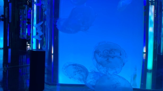 DMMかりゆし水族館