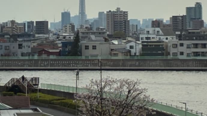 スマホ設定