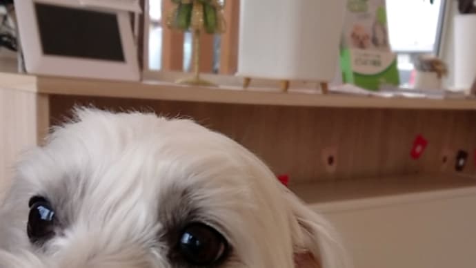ニノさん、病院ですッ!の事。