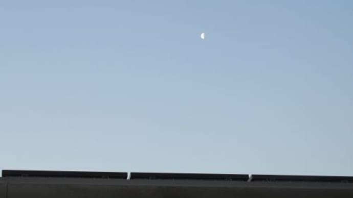 ★3月3日、田んぼ道を歩けば。。